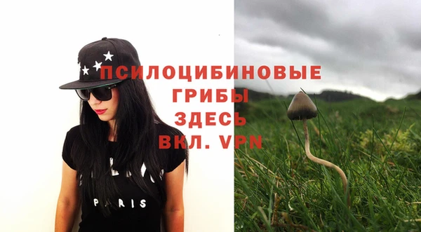 apvp Алзамай