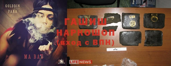 apvp Алзамай