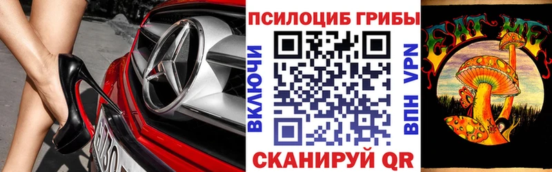 Псилоцибиновые грибы прущие грибы  купить наркотики сайты  Шахты 