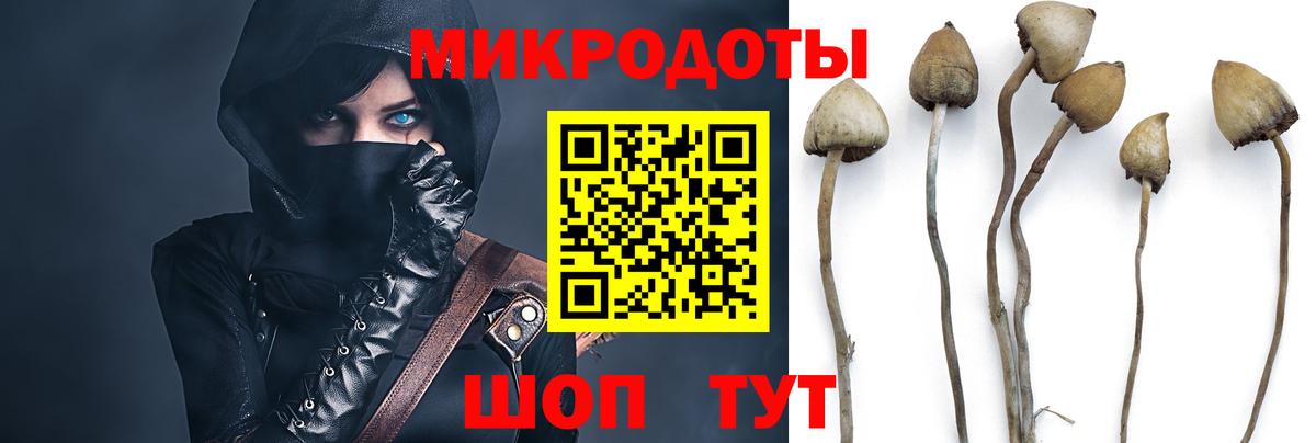 Шахты  Псилоцибиновые грибы мухоморы  Галлюциногенные грибы Magic Shrooms  Вход с VPN 
