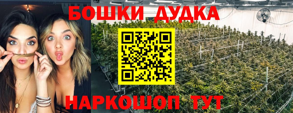 Марихуана OG Kush Шахты
